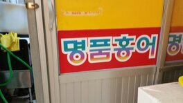 명품홍어
