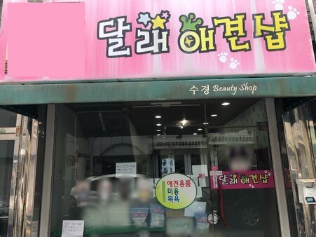 달래애견샵