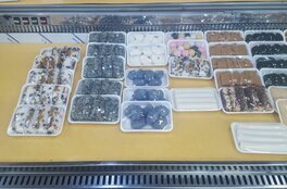 간판