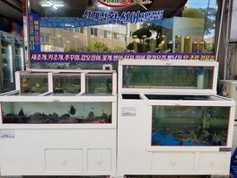 지도포구