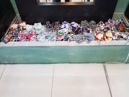 구비제이
