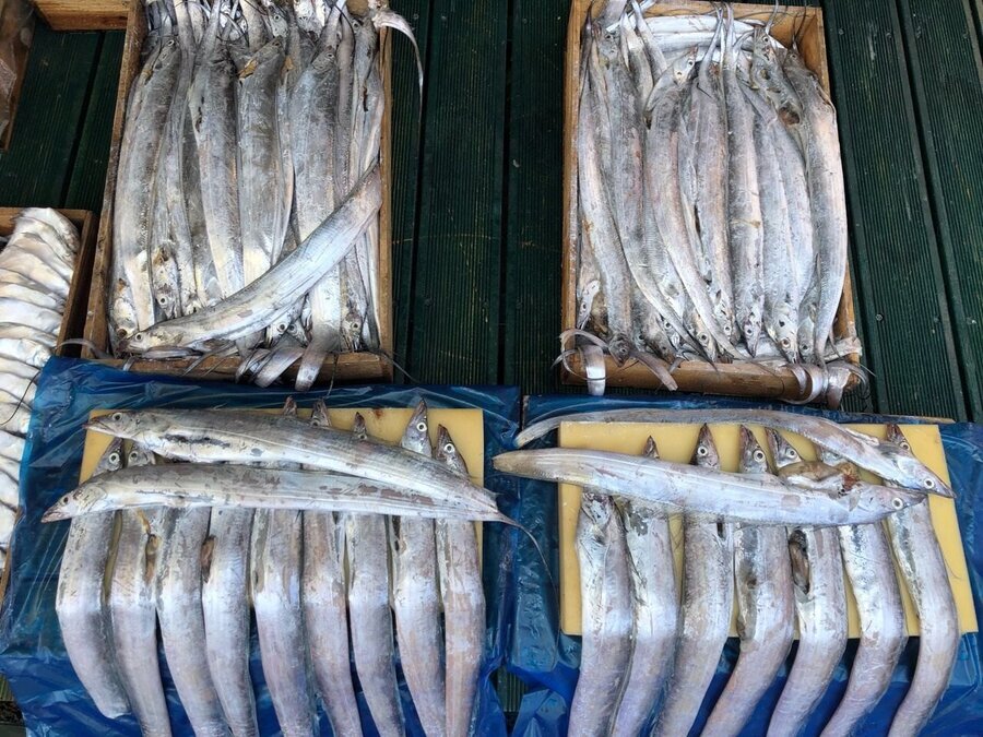수지수산