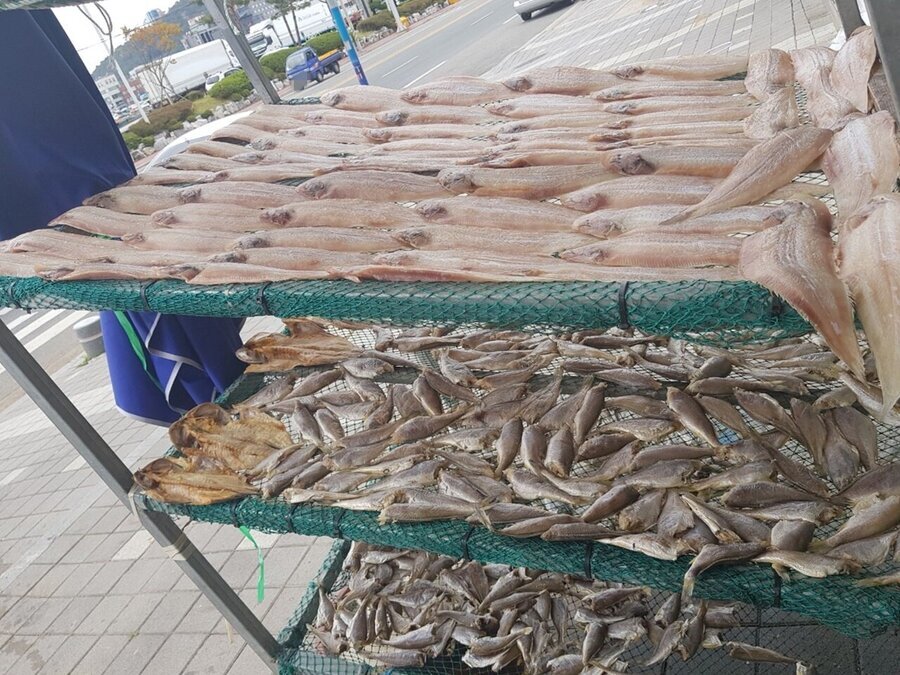 흑산가거도수산