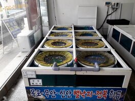 참좋은수산