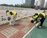 [꿈드림] 2025년 멘토와 함께하는 그린플로깅 실시