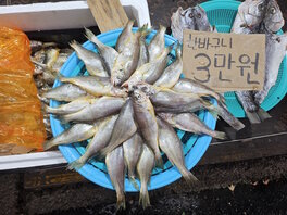 간판