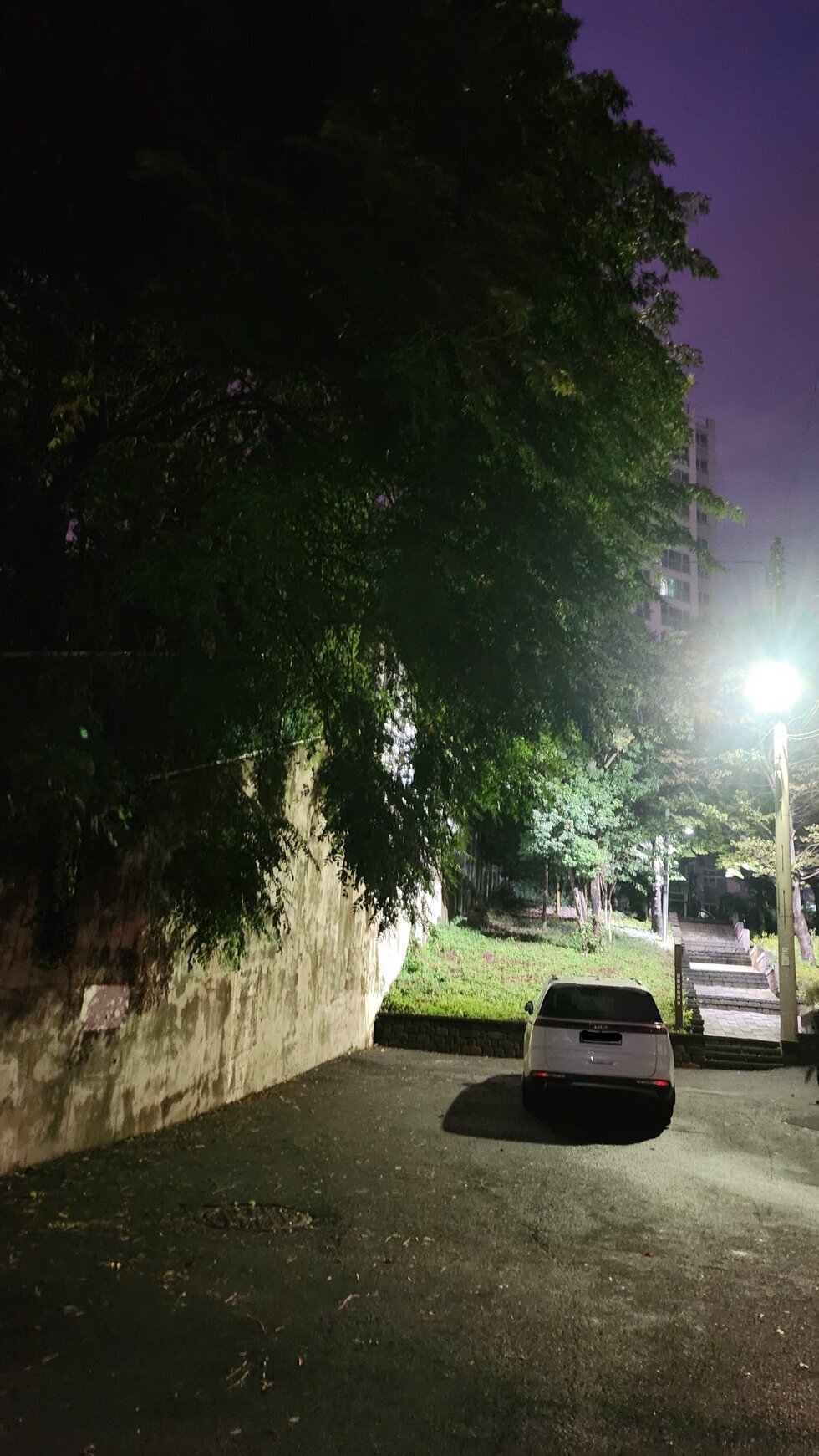 최근 사진2