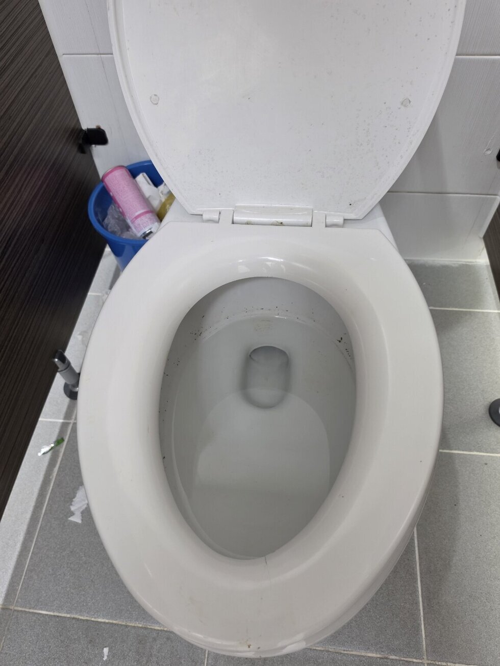 변기 안쪽은 물론、뚜껑에도  곰팡이가 가득입니다。