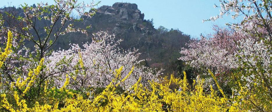 花咲く儒達山祭り