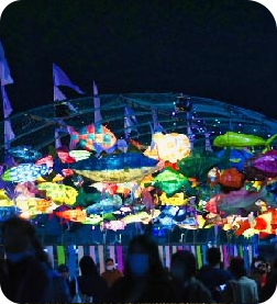 night view photo of Mokpo festival