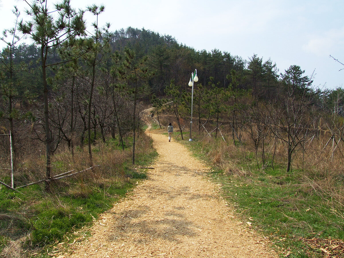 입암산