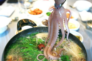 세발낙지 연포탕