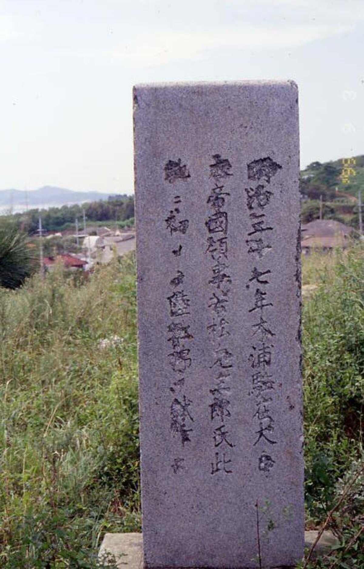 육지면발상비